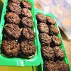 マダガスカリエンセにも再チャレンジ！ 　0日目の画像