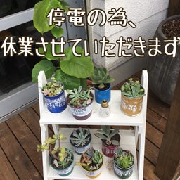 画像 停電の為、臨時休業 の記事より