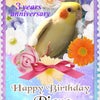 ピアノちゃん３歳になりました♪の画像