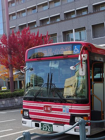 藤尾・小金塚 （大津市 京阪バス 48系統） | フレースエーの草花のブログ
