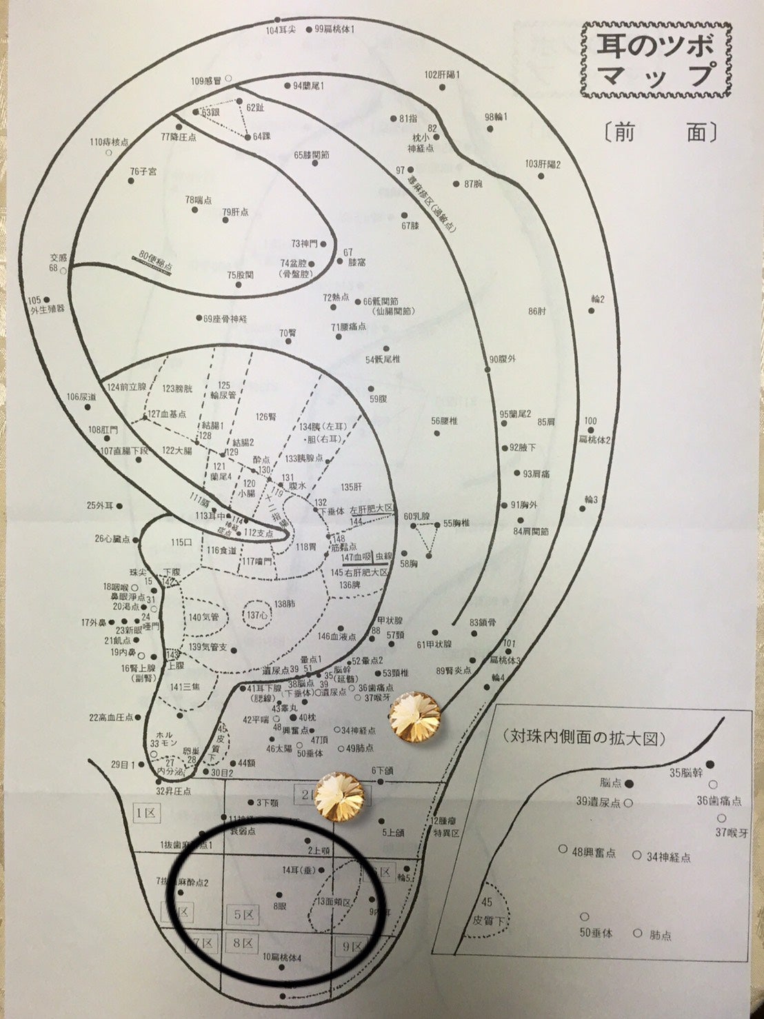 ピアスをすると耳のつぼはどうなるの 中医美容 養生ケアサロン Yin Yang 7year 巡り美人 ピアスをすると耳のつぼはどうなるの 中医美容 養生ケアサロン Yin Yang 7year 巡り美人