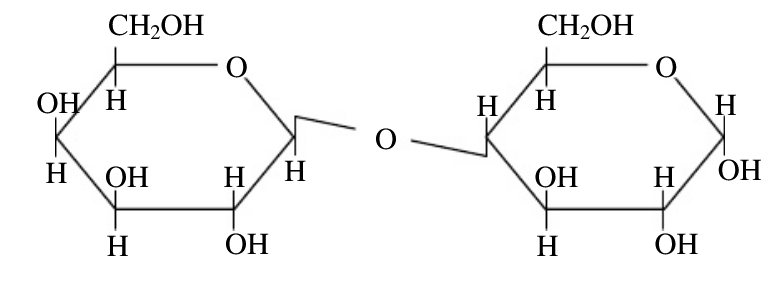 STPM Biology:1.1-1.4 Objective Questionsの記事画像