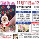 11月11日(日)12日(月)Paw in Hand クリスマス・お正月撮影会 開催決定！の記事より