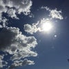 たまに写真とか？の画像
