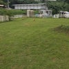 雨が降る前にの画像