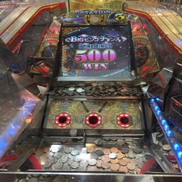 画像 今日の写真(・◇・) の記事より 1つ目