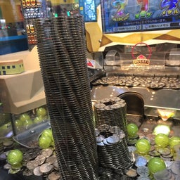 画像 今日の写真(・◇・) の記事より 2つ目