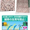 庭作り開始‼️の画像
