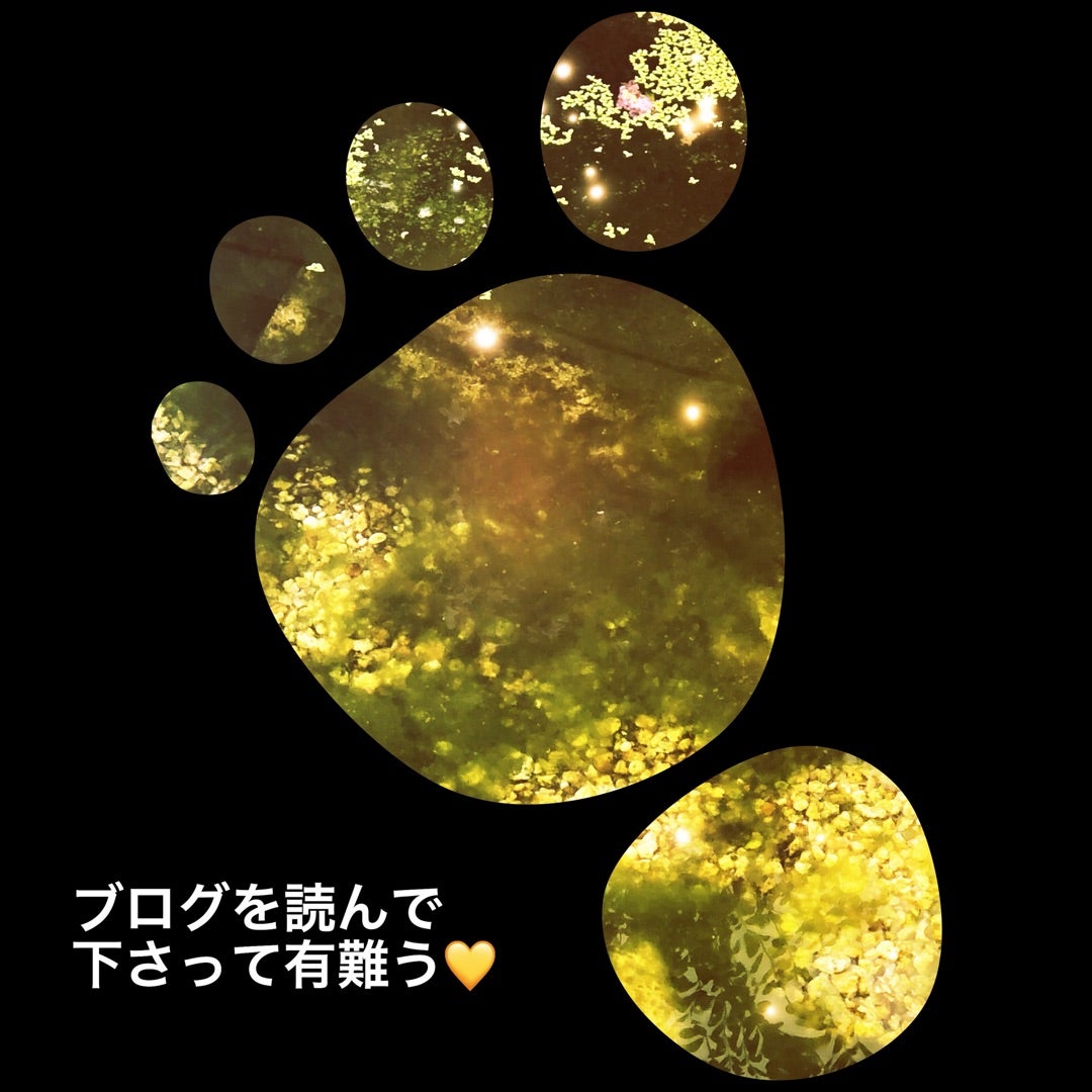 絵本『石をとらえたお役人』/今日はワープロ記念日 | 人も獣も樹も花