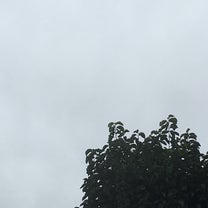 ブログ投稿画像