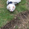 もうすぐ3ヶ月の画像