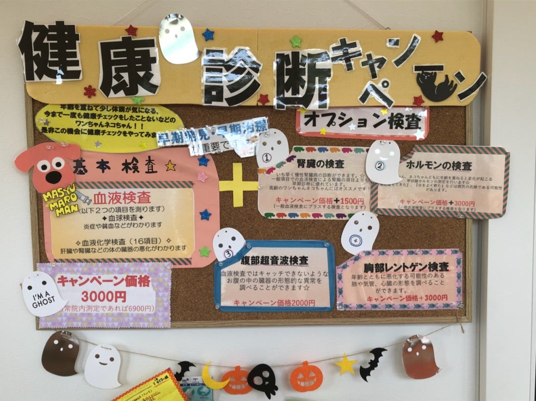 秋の健診キャンペーン 手形山すずき動物病院のブログ
