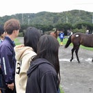 10月生が入校！＆北海道オータムセールで繋ぐ馬たちの未来！！in東関東馬事の記事より