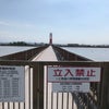 昨日行ったところ。の画像