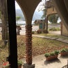 ランチの画像