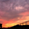 ☆ Mokpo ☆の画像
