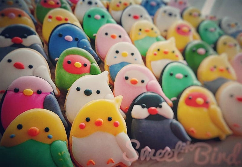 インコクッキー大量生産 千葉県 松戸 アイシングクッキー デコレーションケーキ教室 Sweet Bird