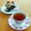 【紅茶教室】ダージリンセカンドフラッシュの香りが素晴らしかったです❤の画像