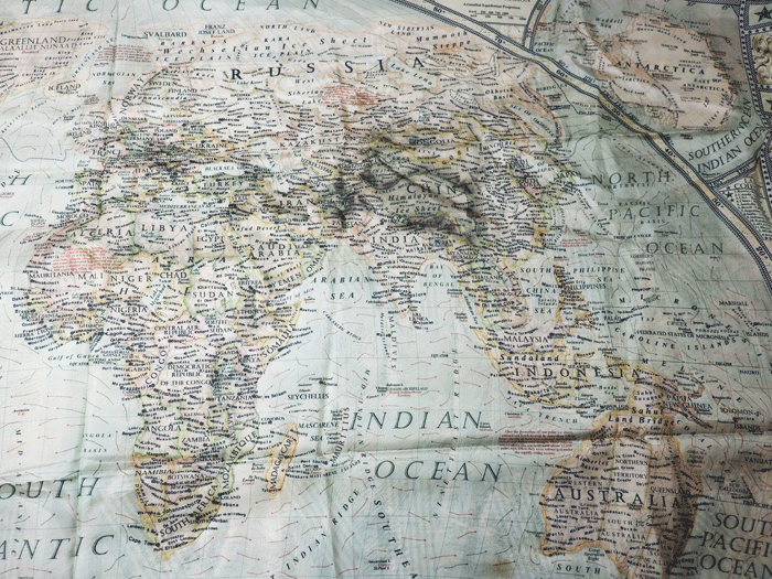 リアブラウン&ダンスフォード｣の世界地図のライニング｡ | テーラー渡辺
