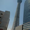 東京＆横浜観光の画像
