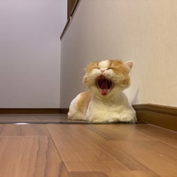 画像 なんか｡｡ の記事より 6つ目