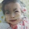 結ちゃんとの日々の画像