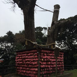 画像 江島神社 その1 の記事より 10つ目