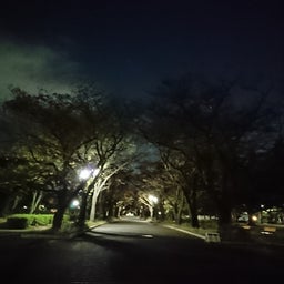 画像 夜空に浮かぶ の記事より 1つ目
