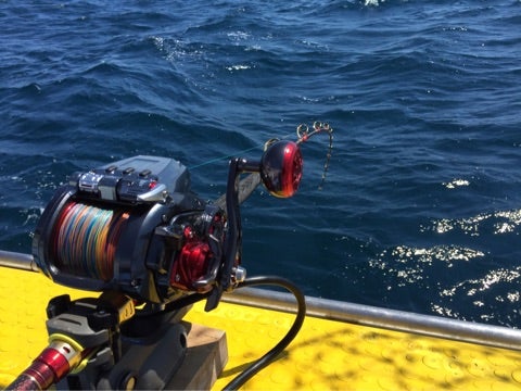 ダイワ|シーボーグ800Jインプレ キハダ・カツオ釣り・中深場におすすめ 