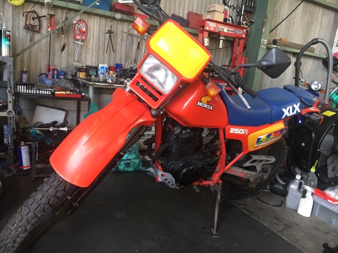 美品】ホンダ XLX250R / XL250R 燃料タンク 商品をSale価格 telecardio