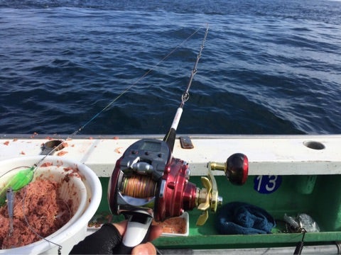 船釣り 青物釣りにお勧めの電動リール 9機種 ブリ ヒラマサ カンパチ