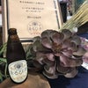 丸の内発クラフトビール『まるびあ』お披露目PARTY　〜PARTY会場～の画像