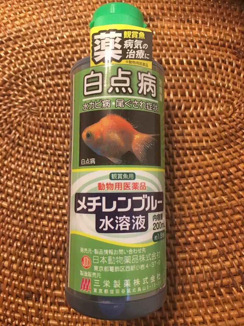 金魚を長生きさせる為 メチレンブルー水溶液 Tentenのブログ