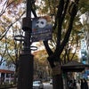 オペラ座の怪人。の画像