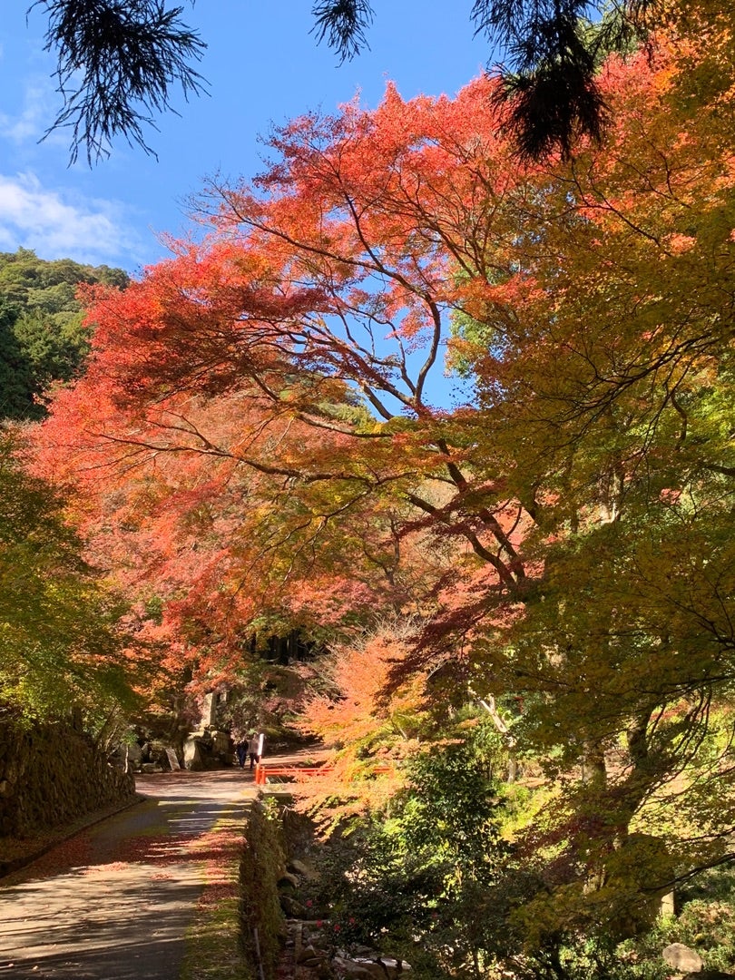 両子寺の紅葉 四季写 楽 美散歩