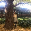 【骨格診断ウェーブ】コーディネート♡神宮外苑 銀杏並木さんぽの画像