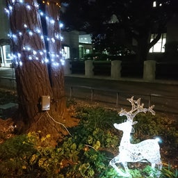 画像 大きな黄色い傘 の記事より 3つ目