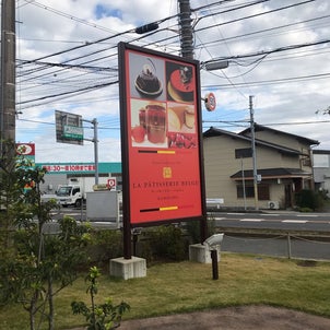 発見の画像