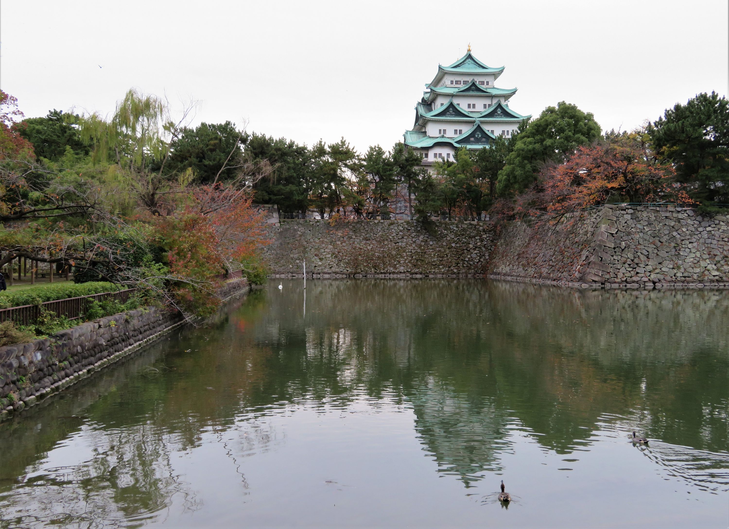 名古屋城のお堀