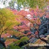 成田山公園の画像