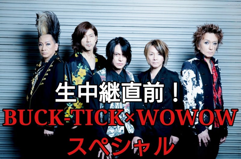 Buck Tick Wowow 5 For Japanese Babies