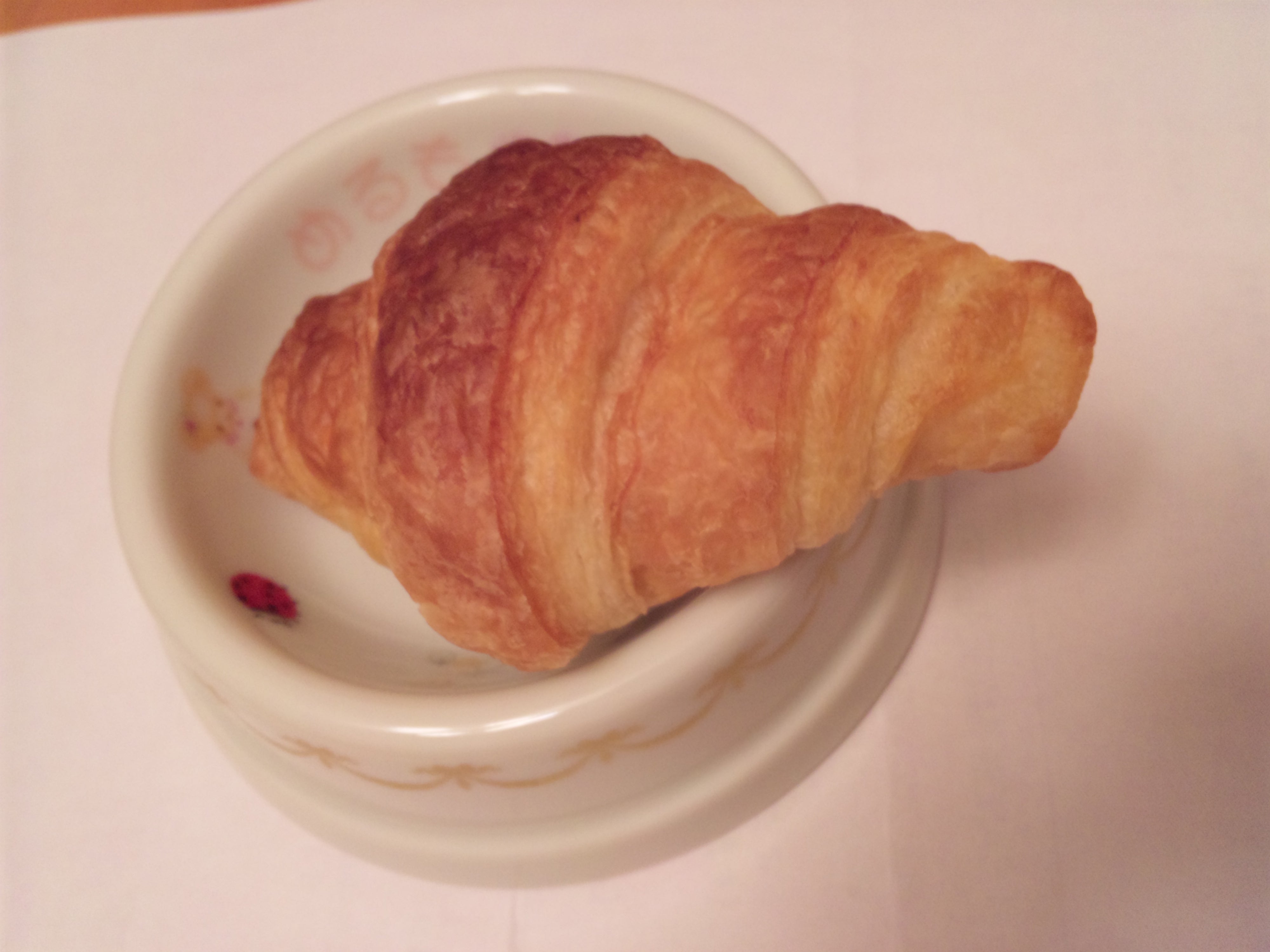 那須のパン屋 ドリームさん 白ポメ めるもちゃん
