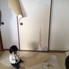 昨日の続きのようなかんじの画像