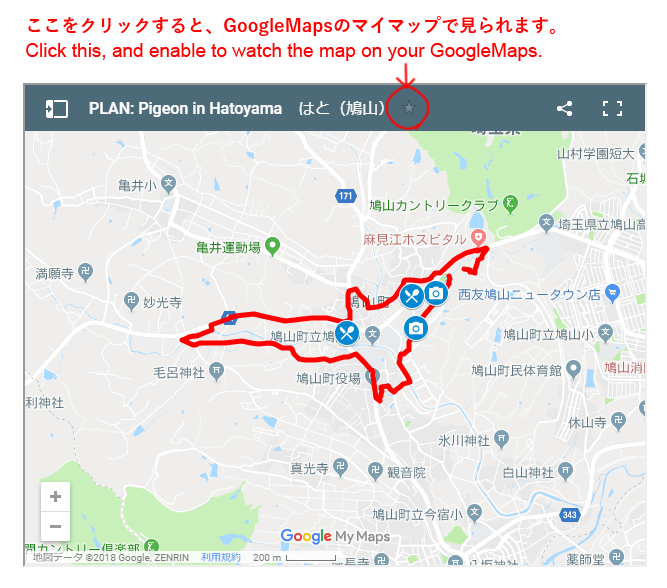 GoogleMapsの表示例