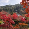 日本の秋の画像