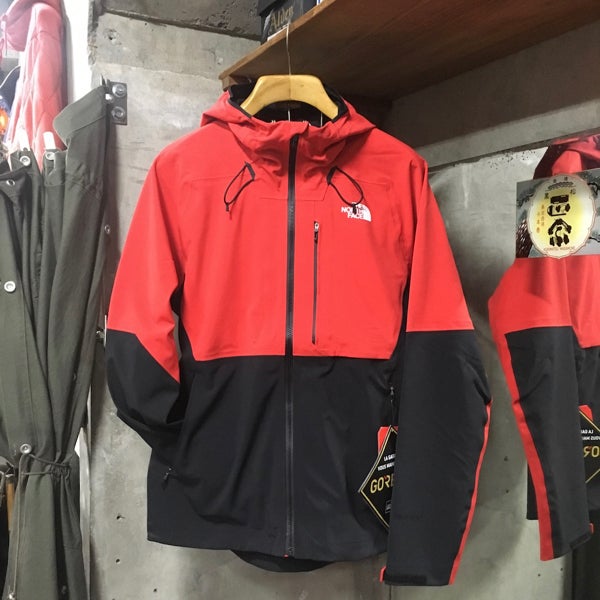 THE NORTH FACE APEX FLEX GTX 2.0 ジャケット