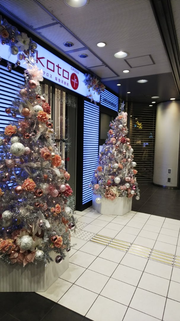 クリスマス景色に おしやんの淡海日記