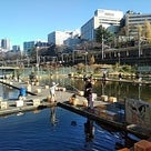 連休の記事より