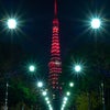 東京タワー60周年おめでとう撮り歩き(^o^)の画像