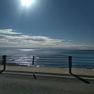 海の記事より